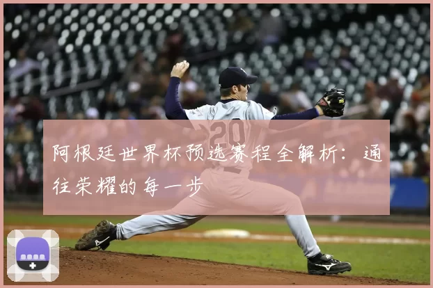 阿根廷世界杯预选赛程全解析：通往荣耀的每一步