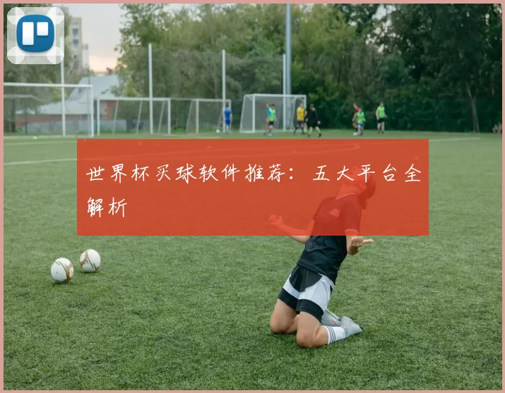 世界杯买球软件推荐：五大平台全解析