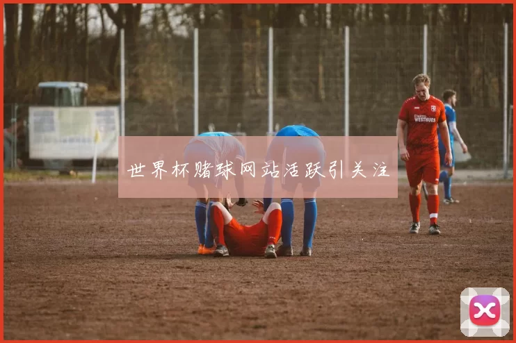 世界杯赌球网站活跃引关注