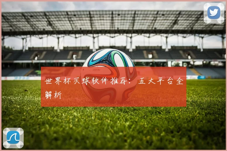 世界杯买球软件推荐：五大平台全解析