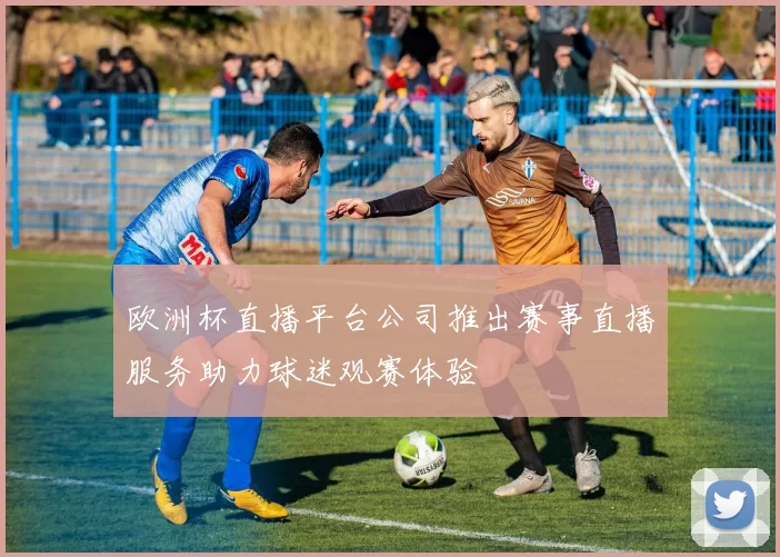 欧洲杯直播平台公司推出赛事直播服务助力球迷观赛体验