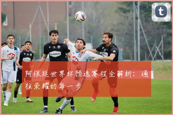 阿根廷世界杯预选赛程全解析：通往荣耀的每一步