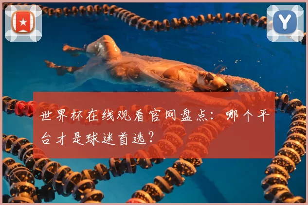世界杯在线观看官网盘点：哪个平台才是球迷首选？