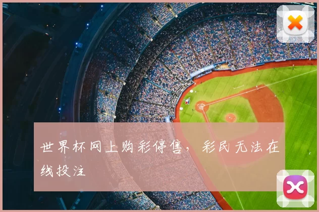 世界杯网上购彩停售，彩民无法在线投注